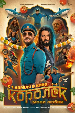 Королёк моей любви смотреть онлайн бесплтано в хорошем качестве Лорд Фильм